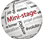 Mini-Stages : STMG & ST2S